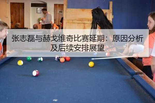 张志磊与赫戈维奇比赛延期：原因分析及后续安排展望