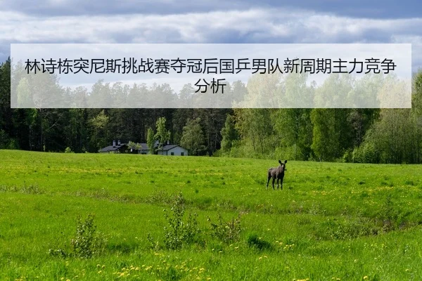 lin-shi-dong-tu-ni-si-tiao-zhan-sai-duo-guan-hou-guo-ping-nan-dui-xin-zhou-qi-zhu-li-jing-zheng-fen-xi-2-218.jpg