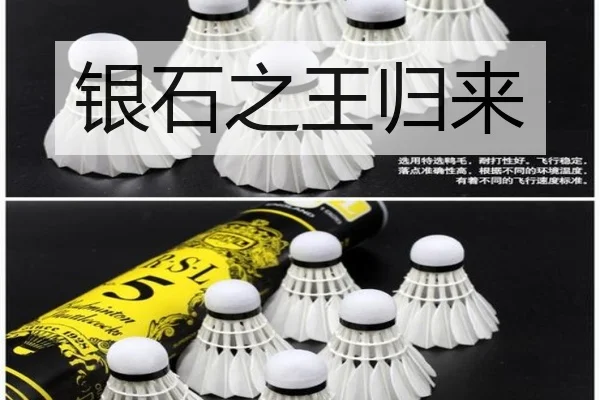 银石之王归来